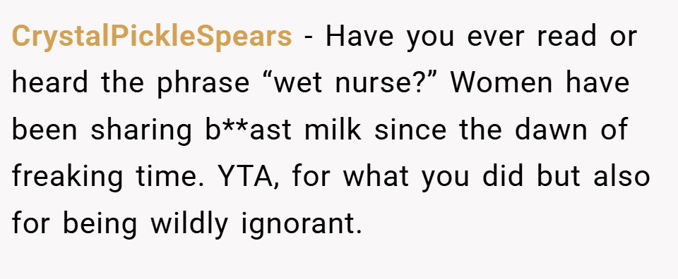 CrystalPickleSpears − Have you ever read or heard the phrase “wet nurse?” Women have been sharing b**ast milk since the dawn of freaking time. YTA, for what you did but also for being wildly ignorant.