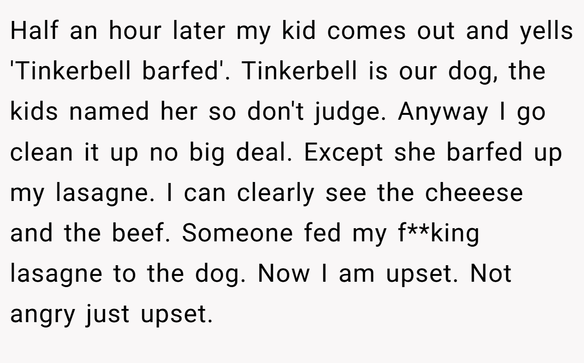 Half an hour later my kid comes out and yells 'Tinkerbell barfed'. Tinkerbell is our dog, the kids named her so don't judge. Anyway I go clean it up no big deal. Except she barfed up my lasagne. I can clearly see the cheeese and the beef. Someone fed my f**king lasagne to the dog. Now I am upset. Not angry just upset.