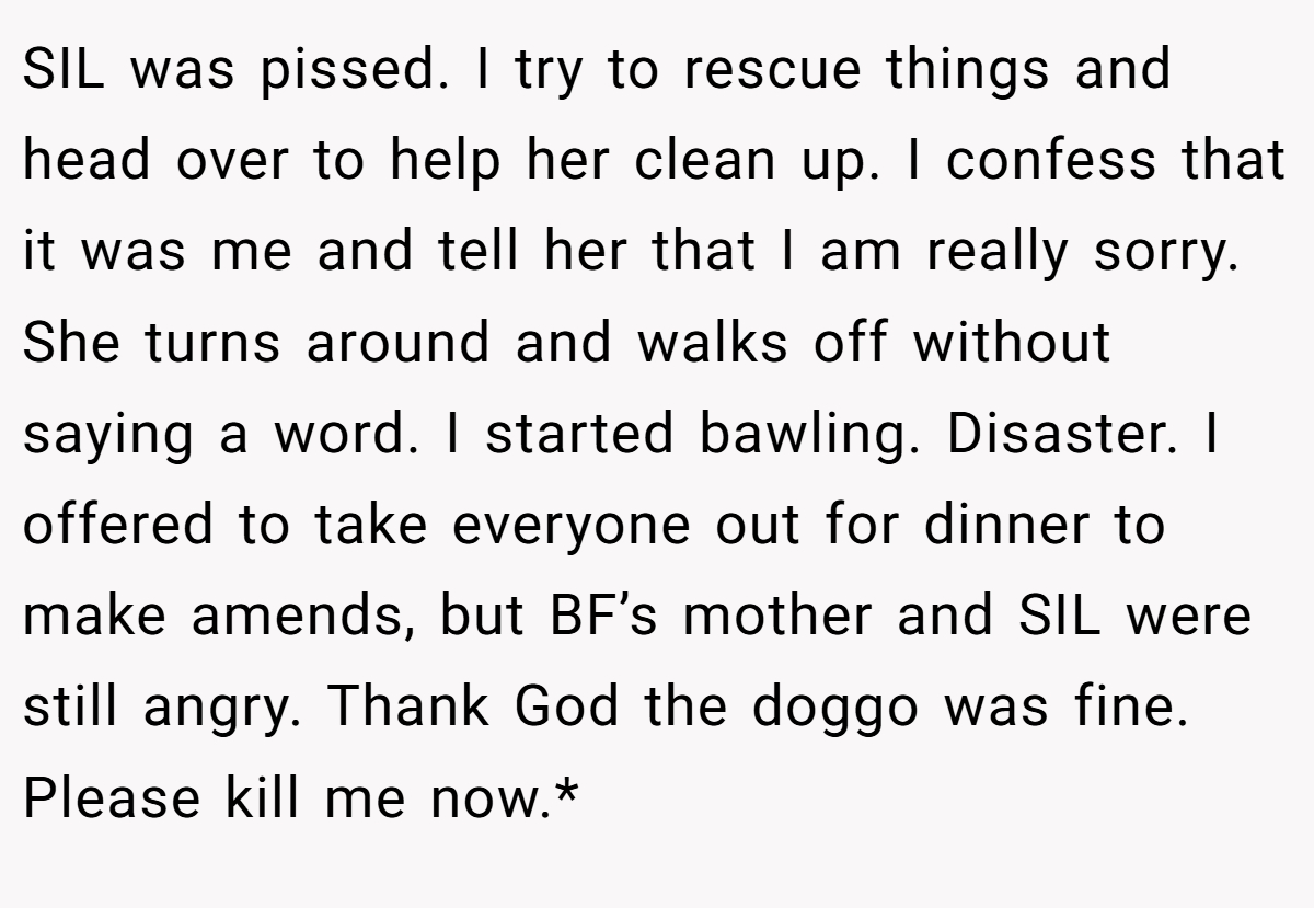SIL was pissed. I try to rescue things and head over to help her clean up. I confess that it was me and tell her that I am really sorry. She turns around and walks off without saying a word. I started bawling. Disaster. I offered to take everyone out for dinner to make amends, but BF’s mother and SIL were still angry. Thank God the doggo was fine. Please kill me now.*