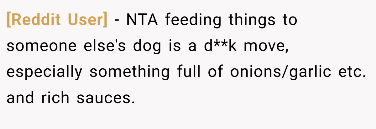 [Reddit User] − NTA feeding things to someone else's dog is a d**k move, especially something full of onions/garlic etc. and rich sauces.