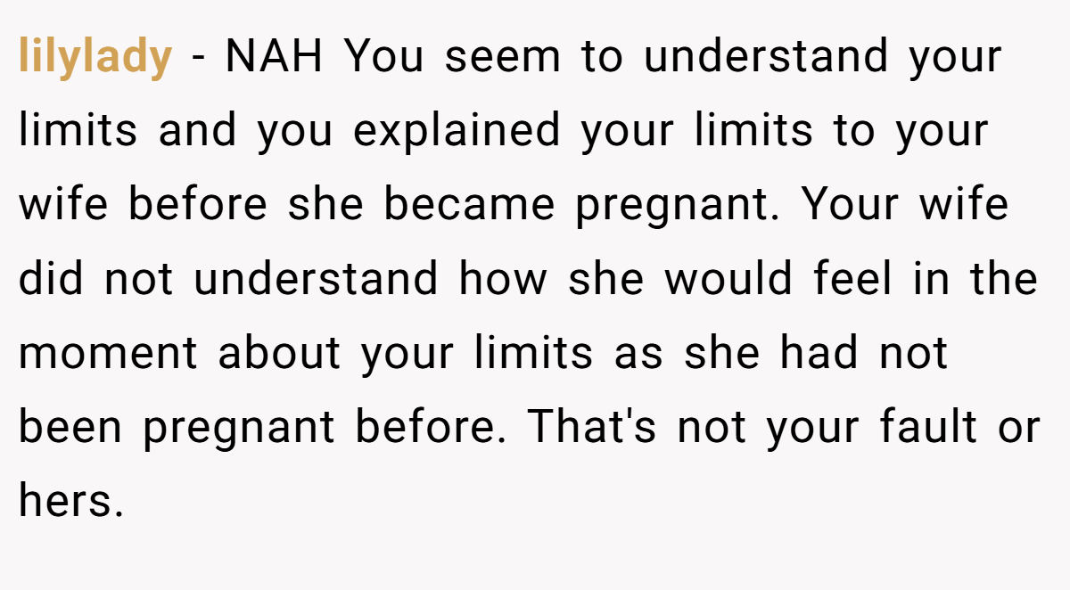 lilylady − NAH You seem to understand your limits and you explained your limits to your wife before she became pregnant. Your wife did not understand how she would feel in the moment about your limits as she had not been pregnant before. That's not your fault or hers.