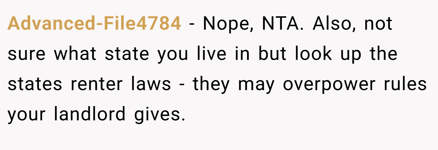 Advanced-File4784 − Nope, NTA. Also, not sure what state you live in but look up the states renter laws - they may overpower rules your landlord gives.