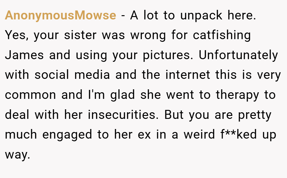 AnonymousMowse − A lot to unpack here. Yes, your sister was wrong for catfishing James and using your pictures. Unfortunately with social media and the internet this is very common and I'm glad she went to therapy to deal with her insecurities. But you are pretty much engaged to her ex in a weird f**ked up way.