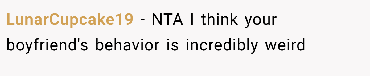LunarCupcake19 − NTA I think your boyfriend's behavior is incredibly weird