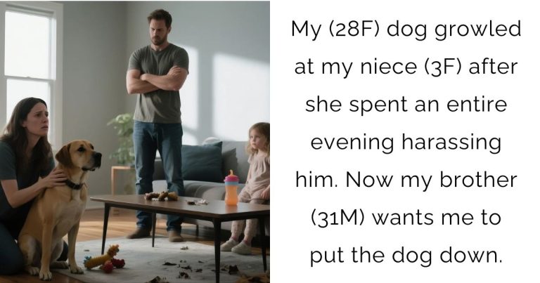My (28F) dog growled at my niece (3F) after she spent an entire evening harassing him. Now my brother (31M) wants me to put the dog down.