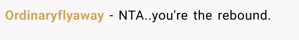 Ordinaryflyaway −  NTA..you're the rebound.