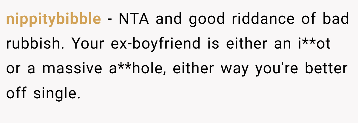 nippitybibble − NTA and good riddance of bad rubbish. Your ex-boyfriend is either an i**ot or a massive a**hole, either way you're better off single.