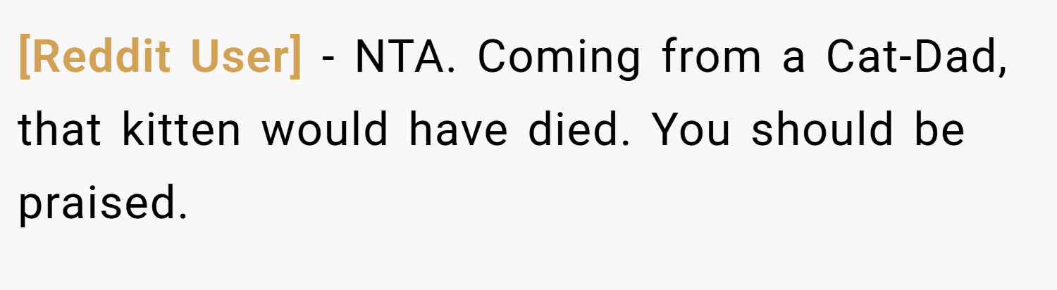 [Reddit User] − NTA. Coming from a Cat-Dad, that kitten would have died. You should be praised.