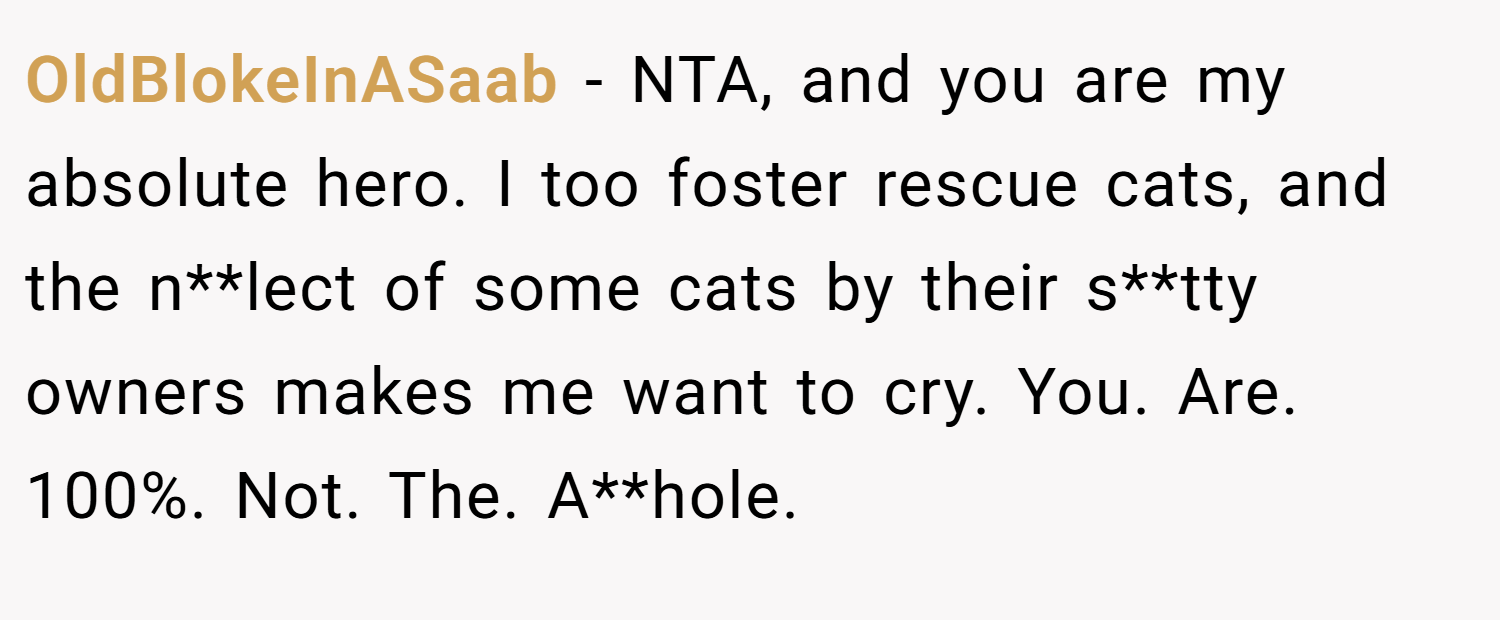 OldBlokeInASaab − NTA, and you are my absolute hero. I too foster rescue cats, and the n**lect of some cats by their s**tty owners makes me want to cry. You. Are. 100%. Not. The. A**hole.