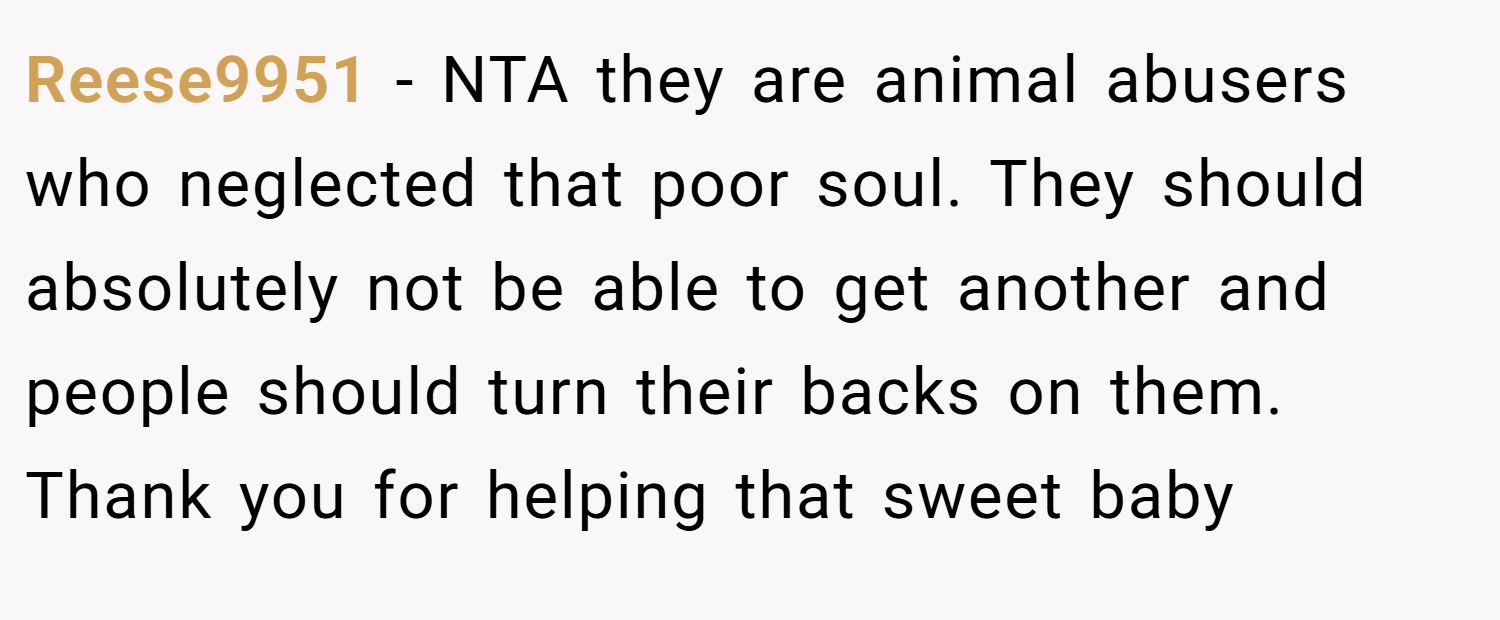 Reese9951 − NTA they are animal abusers who neglected that poor soul. They should absolutely not be able to get another and people should turn their backs on them. Thank you for helping that sweet baby