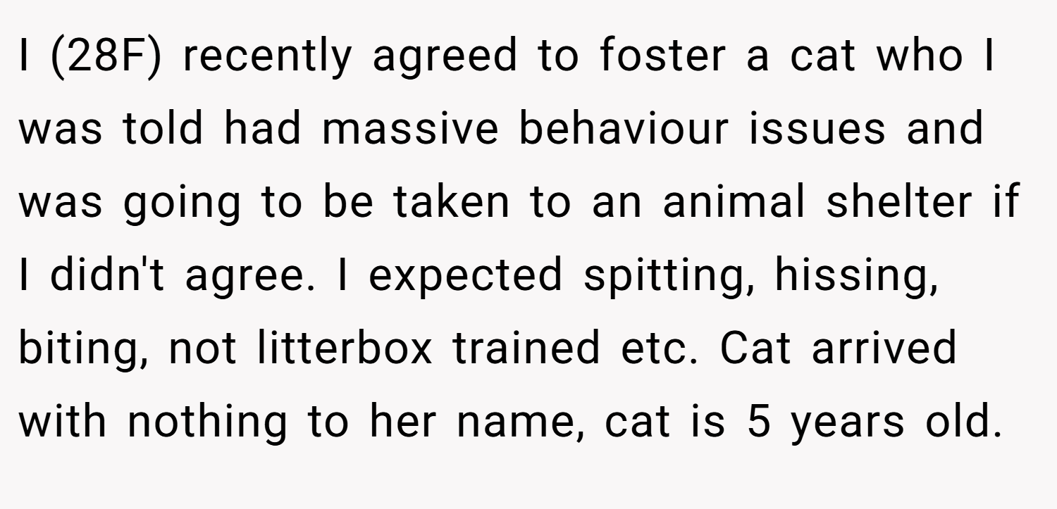 I (28F) recently agreed to foster a cat who I was told had massive behaviour issues and was going to be taken to an animal shelter if I didn't agree. I expected spitting, hissing, biting, not litterbox trained etc. Cat arrived with nothing to her name, cat is 5 years old.