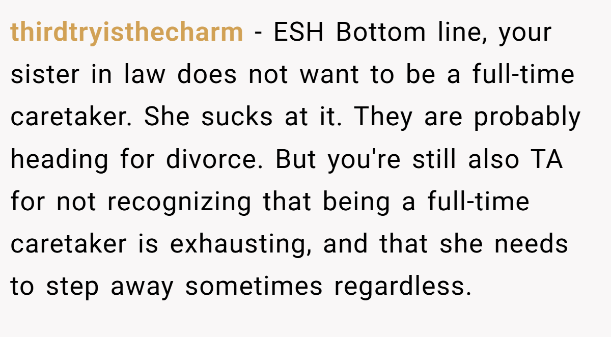 thirdtryisthecharm − ESH Bottom line, your sister in law does not want to be a full-time caretaker. She sucks at it. They are probably heading for divorce. But you're still also TA for not recognizing that being a full-time caretaker is exhausting, and that she needs to step away sometimes regardless.
