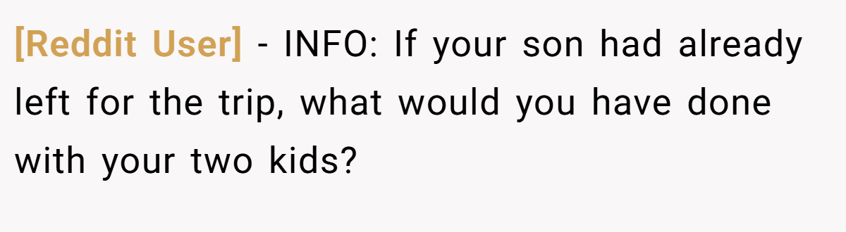 [Reddit User] − INFO: If your son had already left for the trip, what would you have done with your two kids?