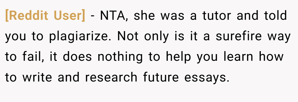 [Reddit User] − NTA, she was a tutor and told you to plagiarize. Not only is it a surefire way to fail, it does nothing to help you learn how to write and research future essays.