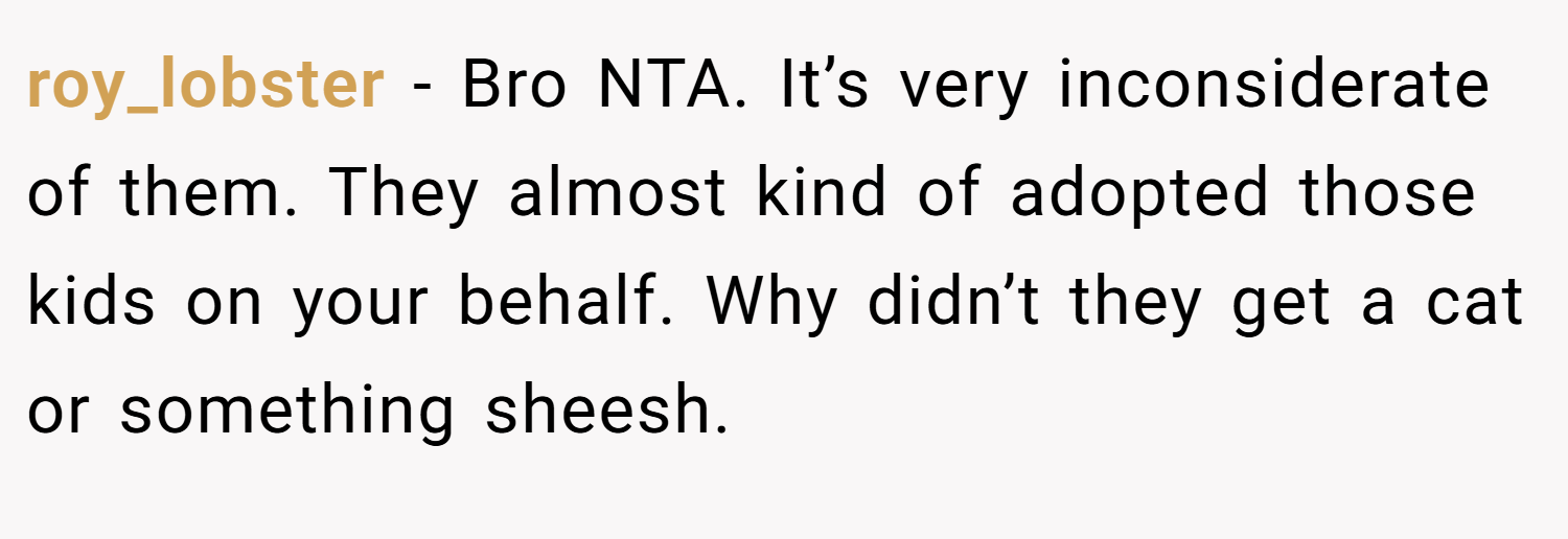roy_lobster − Bro NTA. It’s very inconsiderate of them. They almost kind of adopted those kids on your behalf. Why didn’t they get a cat or something sheesh.
