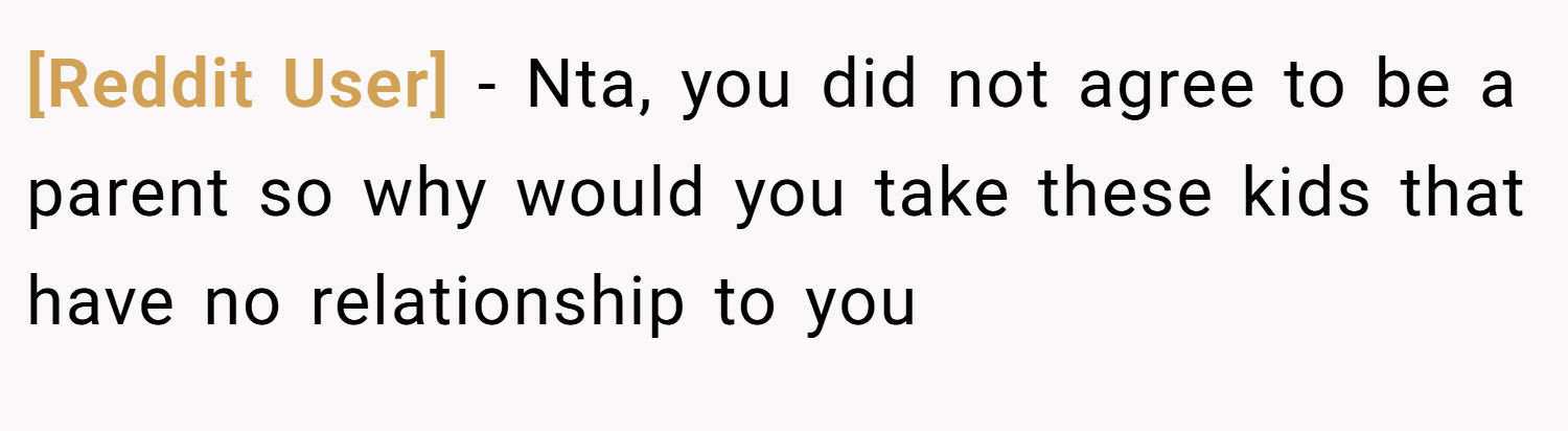 [Reddit User] − Nta, you did not agree to be a parent so why would you take these kids that have no relationship to you