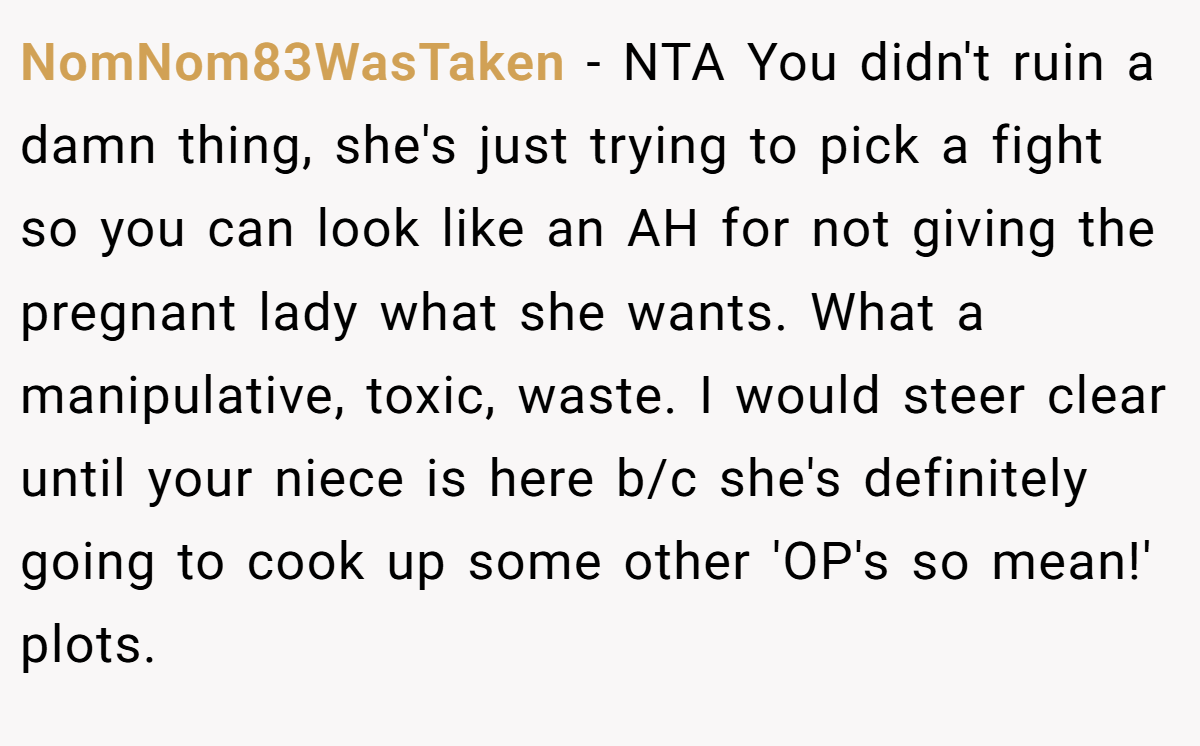 NomNom83WasTaken − NTA You didn't ruin a damn thing, she's just trying to pick a fight so you can look like an AH for not giving the pregnant lady what she wants. What a manipulative, toxic, waste. I would steer clear until your niece is here b/c she's definitely going to cook up some other 'OP's so mean!' plots.