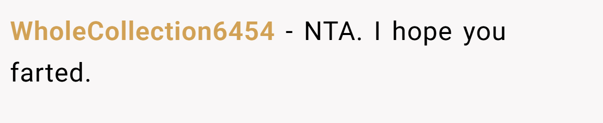 WholeCollection6454 − NTA. I hope you farted.