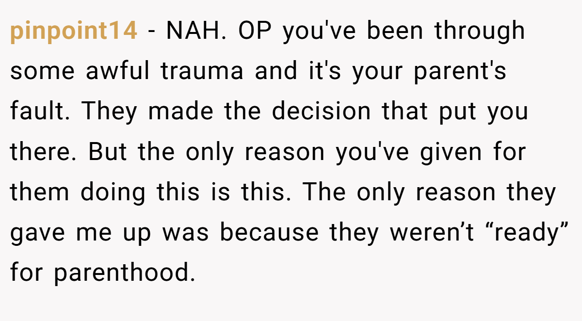 pinpoint14 − NAH. OP you've been through some awful trauma and it's your parent's fault. They made the decision that put you there. But the only reason you've given for them doing this is this. The only reason they gave me up was because they weren’t “ready” for parenthood.