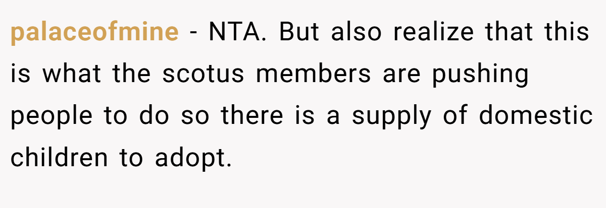 palaceofmine − NTA. But also realize that this is what the scotus members are pushing people to do so there is a supply of domestic children to adopt.