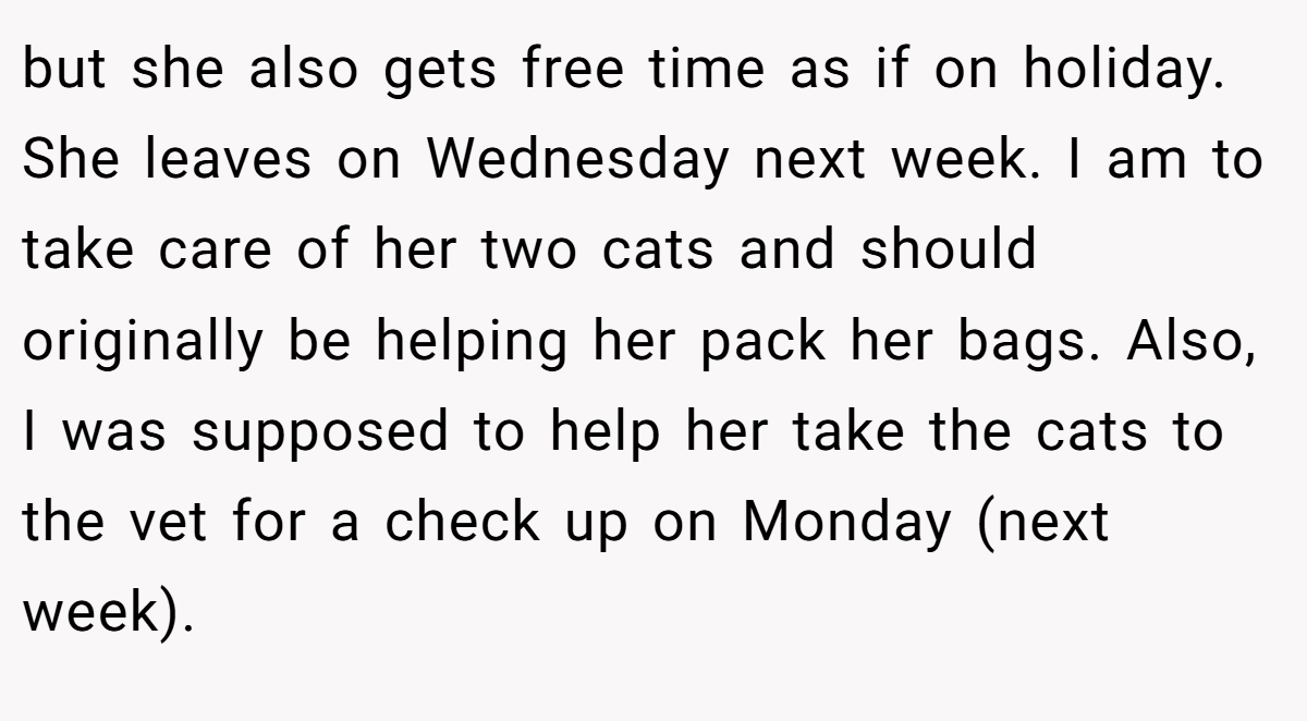 but she also gets free time as if on holiday. She leaves on Wednesday next week. I am to take care of her two cats and should originally be helping her pack her bags. Also, I was supposed to help her take the cats to the vet for a check up on Monday (next week).