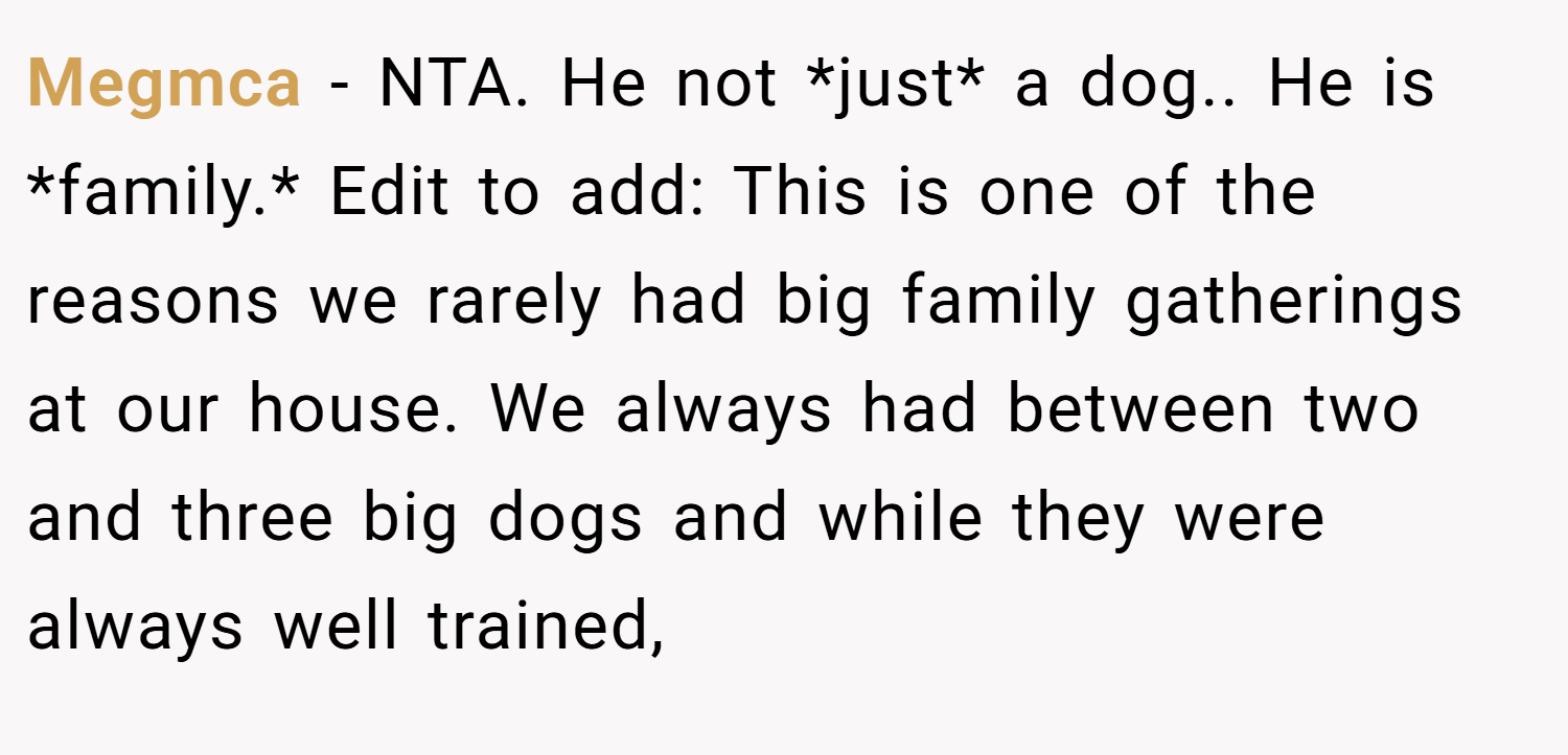 Megmca − NTA. He not *just* a dog.. He is *family.* Edit to add: This is one of the reasons we rarely had big family gatherings at our house. We always had between two and three big dogs and while they were always well trained,