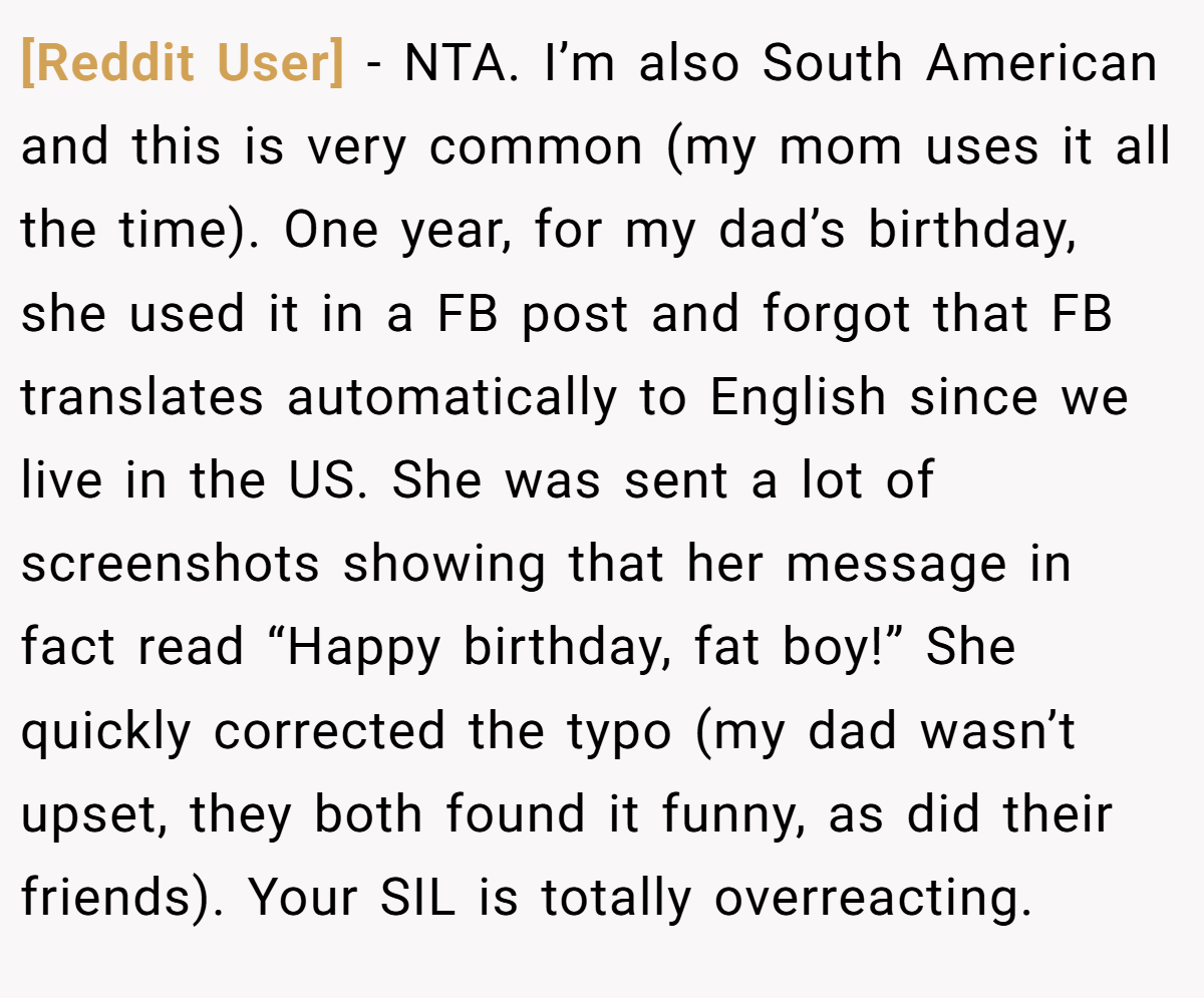 [Reddit User] − NTA. I’m also South American and this is very common (my mom uses it all the time). One year, for my dad’s birthday, she used it in a FB post and forgot that FB translates automatically to English since we live in the US. She was sent a lot of screenshots showing that her message in fact read “Happy birthday, fat boy!” She quickly corrected the typo (my dad wasn’t upset, they both found it funny, as did their friends). Your SIL is totally overreacting.