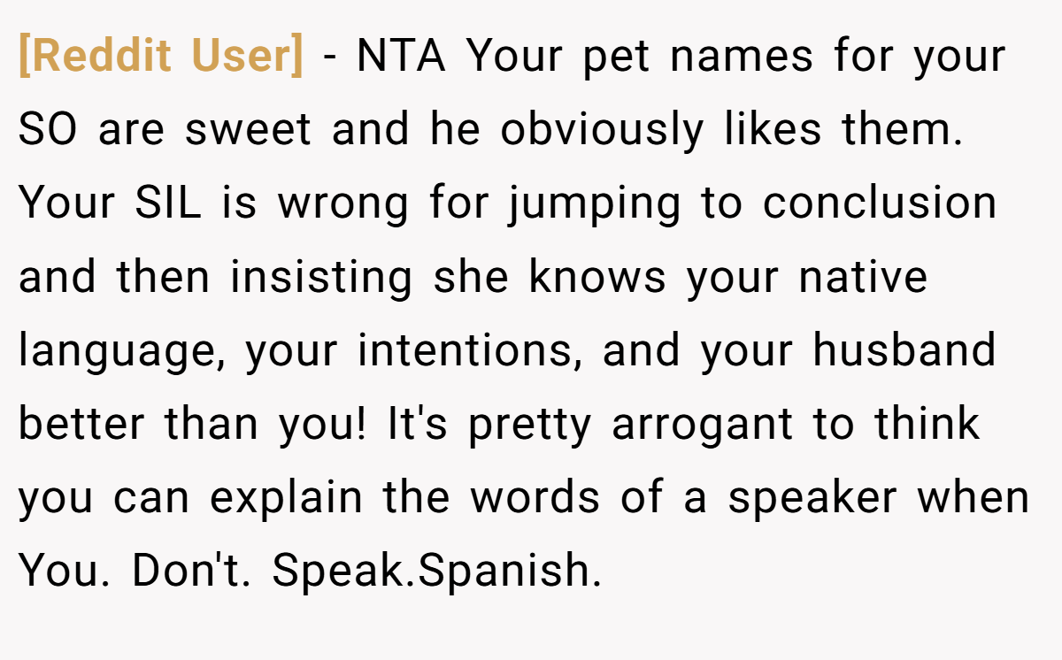 [Reddit User] − NTA Your pet names for your SO are sweet and he obviously likes them. Your SIL is wrong for jumping to conclusion and then insisting she knows your native language, your intentions, and your husband better than you! It's pretty arrogant to think you can explain the words of a speaker when You. Don't. Speak.Spanish.