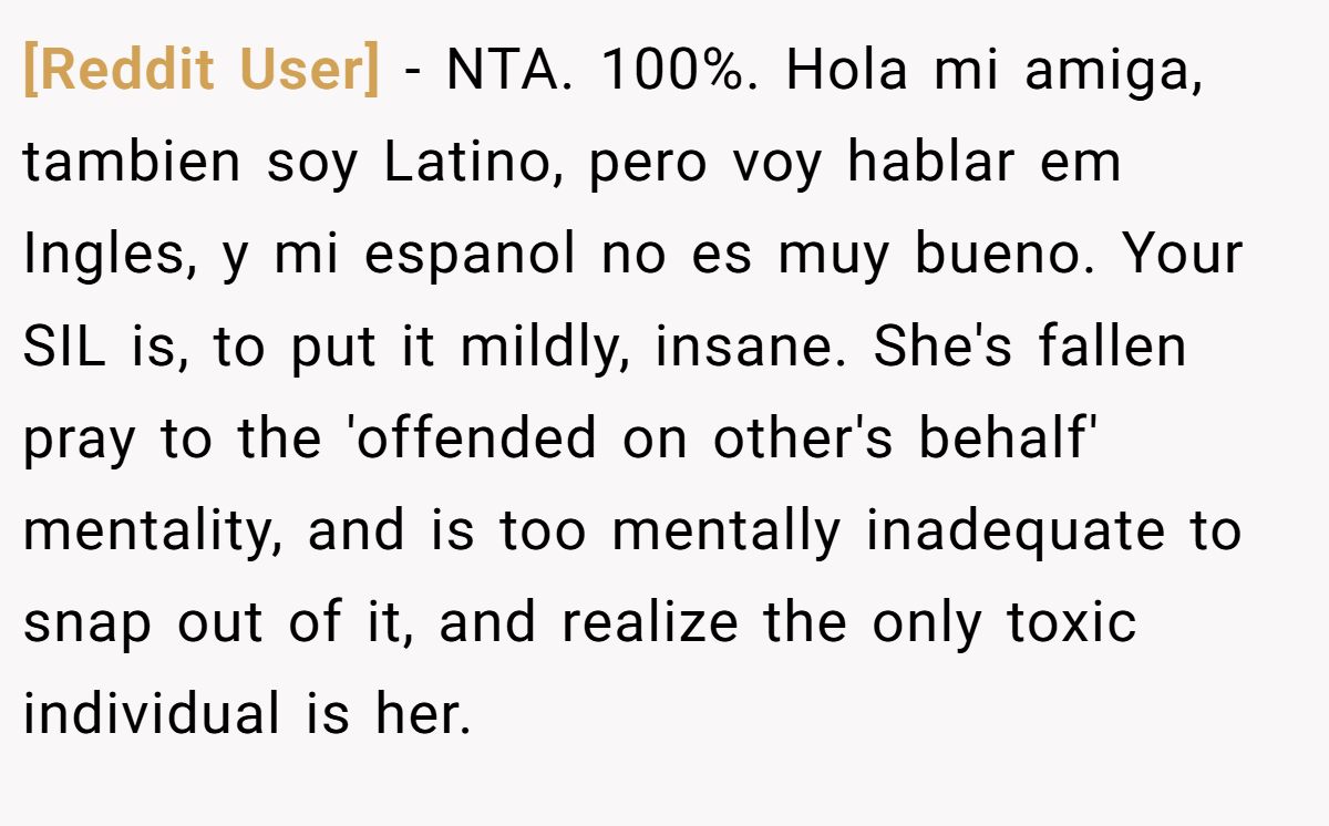 [Reddit User] − NTA. 100%. Hola mi amiga, tambien soy Latino, pero voy hablar em Ingles, y mi espanol no es muy bueno. Your SIL is, to put it mildly, insane. She's fallen pray to the 'offended on other's behalf' mentality, and is too mentally inadequate to snap out of it, and realize the only toxic individual is her.