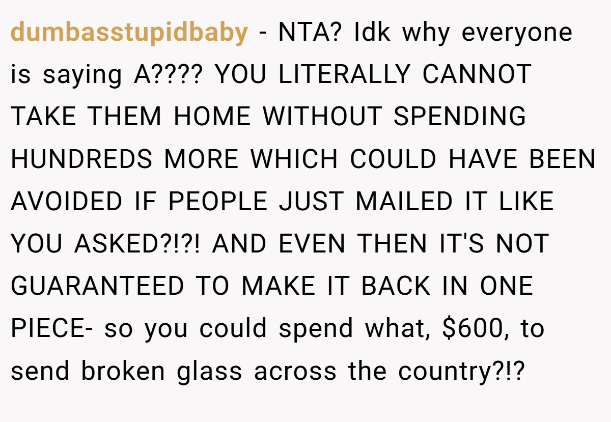 dumbasstupidbaby − NTA? Idk why everyone is saying A???? YOU LITERALLY CANNOT TAKE THEM HOME WITHOUT SPENDING HUNDREDS MORE WHICH COULD HAVE BEEN AVOIDED IF PEOPLE JUST MAILED IT LIKE YOU ASKED?!?! AND EVEN THEN IT'S NOT GUARANTEED TO MAKE IT BACK IN ONE PIECE- so you could spend what, $600, to send broken glass across the country?!?