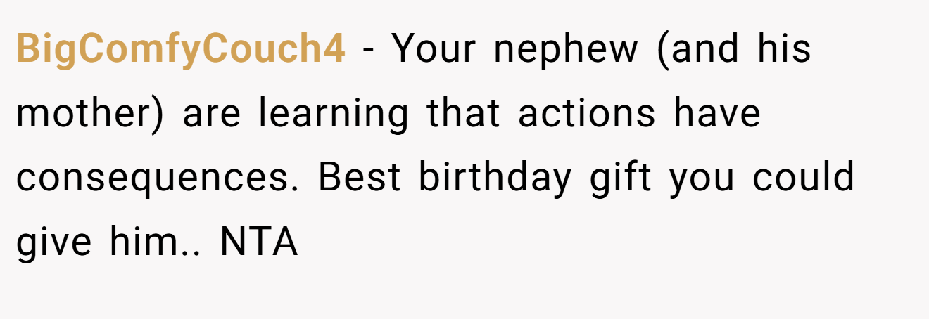 BigComfyCouch4 - Your nephew (and his mother) are learning that actions have consequences. Best birthday gift you could give him.. NTA
