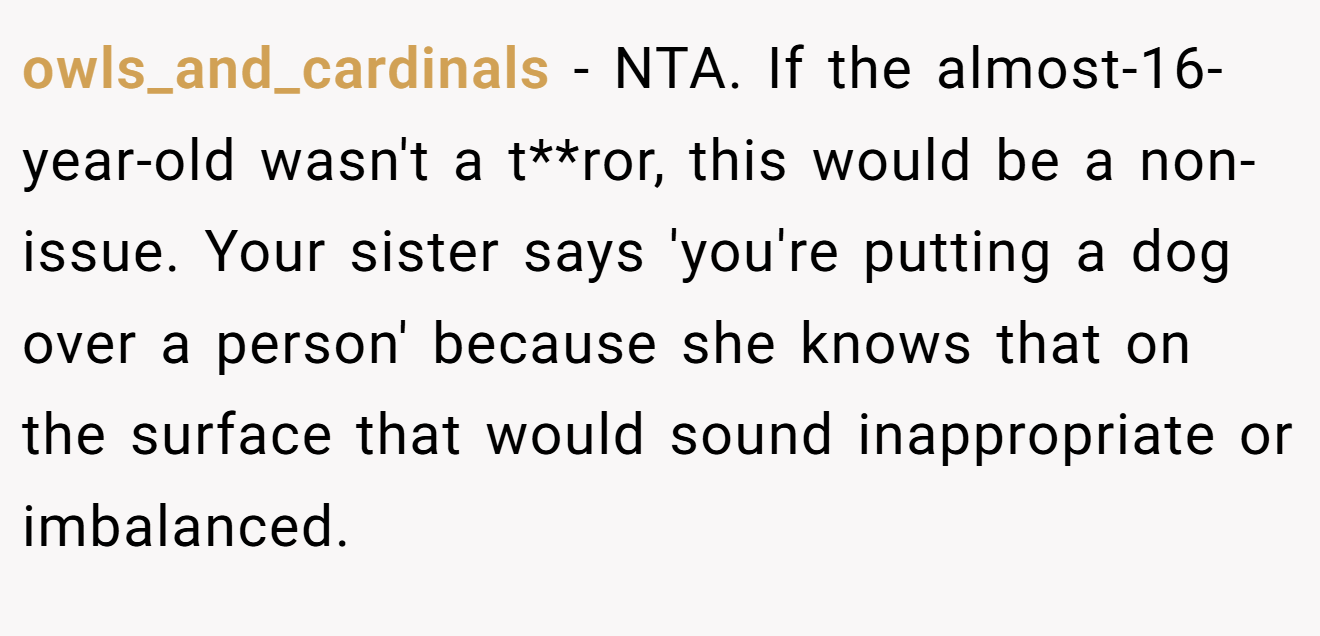 owls_and_cardinals - NTA. If the almost-16-year-old wasn't a t**ror, this would be a non-issue. Your sister says 'you're putting a dog over a person' because she knows that on the surface that would sound inappropriate or imbalanced.