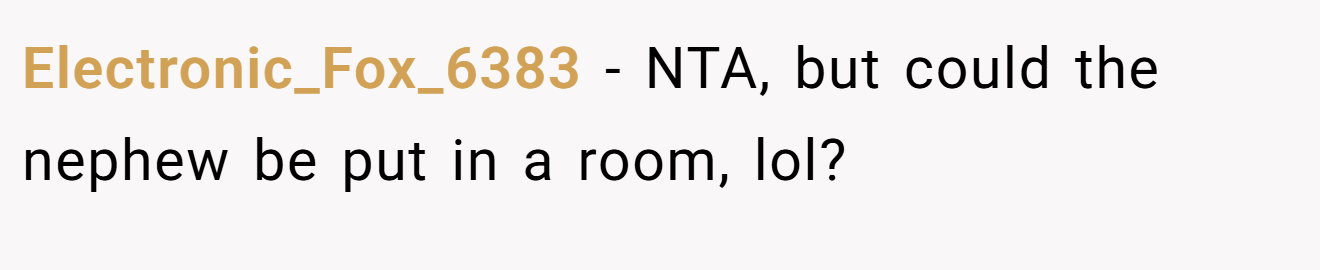 Electronic_Fox_6383 - NTA, but could the nephew be put in a room, lol?