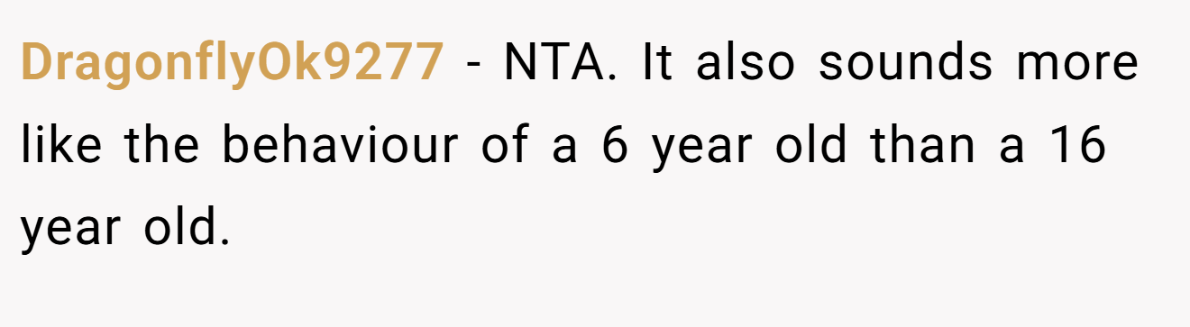 DragonflyOk9277 - NTA. It also sounds more like the behaviour of a 6 year old than a 16 year old.