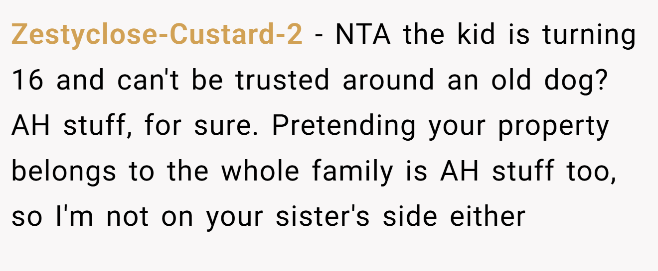 Zestyclose-Custard-2 - NTA the kid is turning 16 and can't be trusted around an old dog? AH stuff, for sure. Pretending your property belongs to the whole family is AH stuff too, so I'm not on your sister's side either