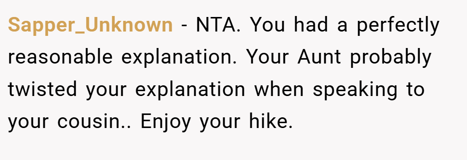 Sapper_Unknown − NTA. You had a perfectly reasonable explanation. Your Aunt probably twisted your explanation when speaking to your cousin.. Enjoy your hike.