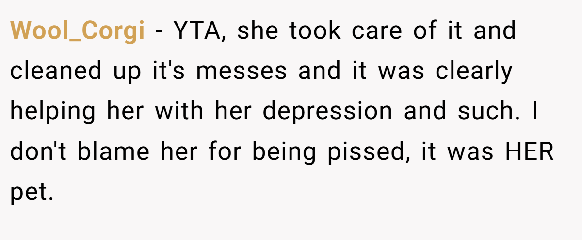 Wool_Corgi − YTA, she took care of it and cleaned up it's messes and it was clearly helping her with her depression and such. I don't blame her for being pissed, it was HER pet.