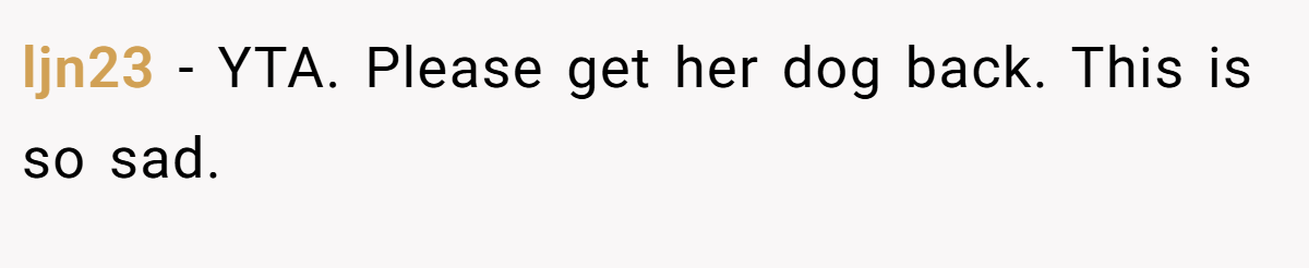 ljn23 − YTA. Please get her dog back. This is so sad.