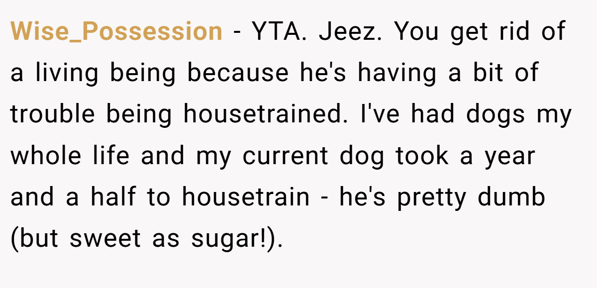 Wise_Possession − YTA. Jeez. You get rid of a living being because he's having a bit of trouble being housetrained. I've had dogs my whole life and my current dog took a year and a half to housetrain - he's pretty dumb (but sweet as sugar!).