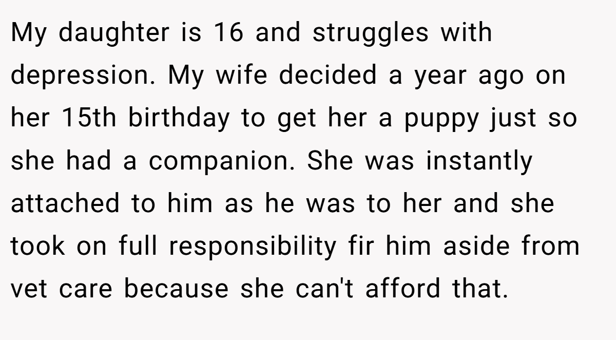 My daughter is 16 and struggles with depression. My wife decided a year ago on her 15th birthday to get her a puppy just so she had a companion. She was instantly attached to him as he was to her and she took on full responsibility fir him aside from vet care because she can't afford that.