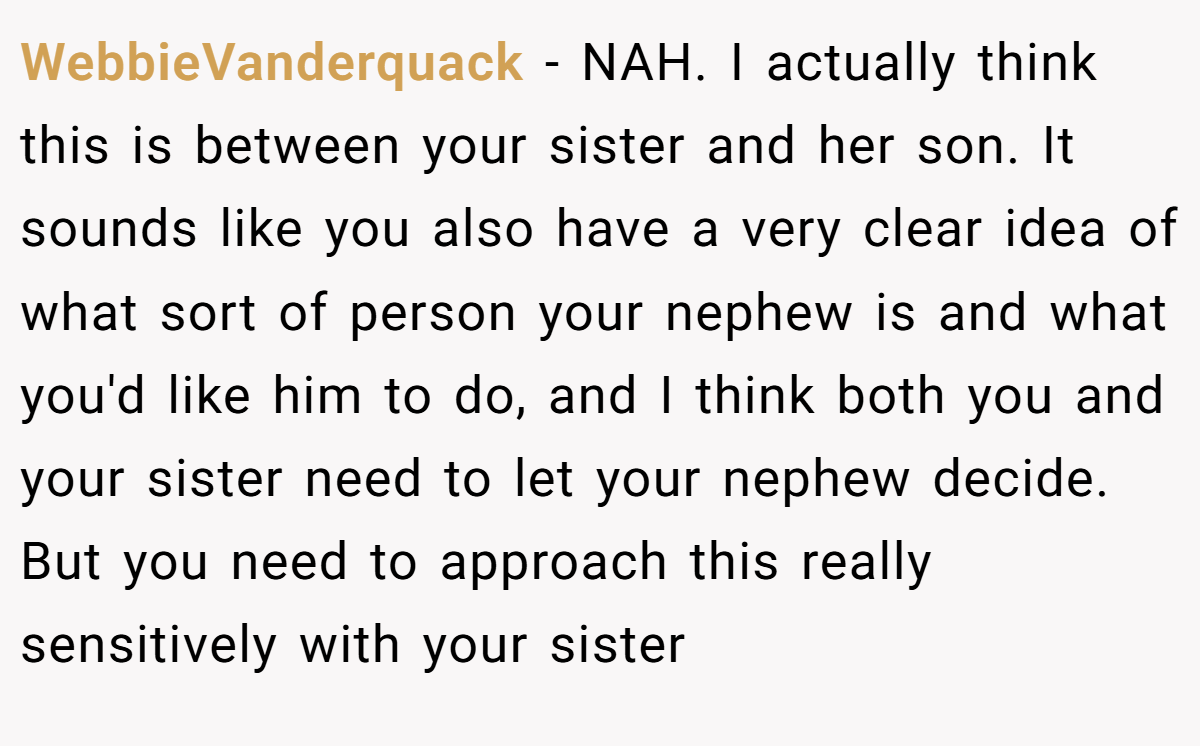WebbieVanderquack − NAH. I actually think this is between your sister and her son. It sounds like you also have a very clear idea of what sort of person your nephew is and what you'd like him to do, and I think both you and your sister need to let your nephew decide. But you need to approach this really sensitively with your sister