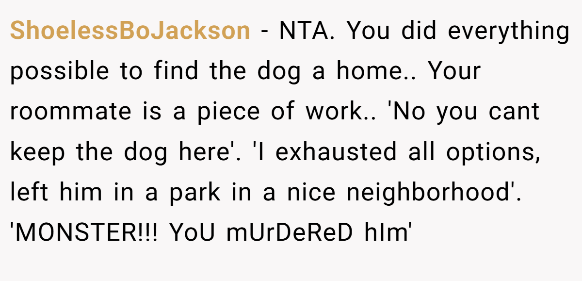 ShoelessBoJackson − NTA. You did everything possible to find the dog a home.. Your roommate is a piece of work.. 'No you cant keep the dog here'. 'I exhausted all options, left him in a park in a nice neighborhood'. 'MONSTER!!! YoU mUrDeReD hIm'