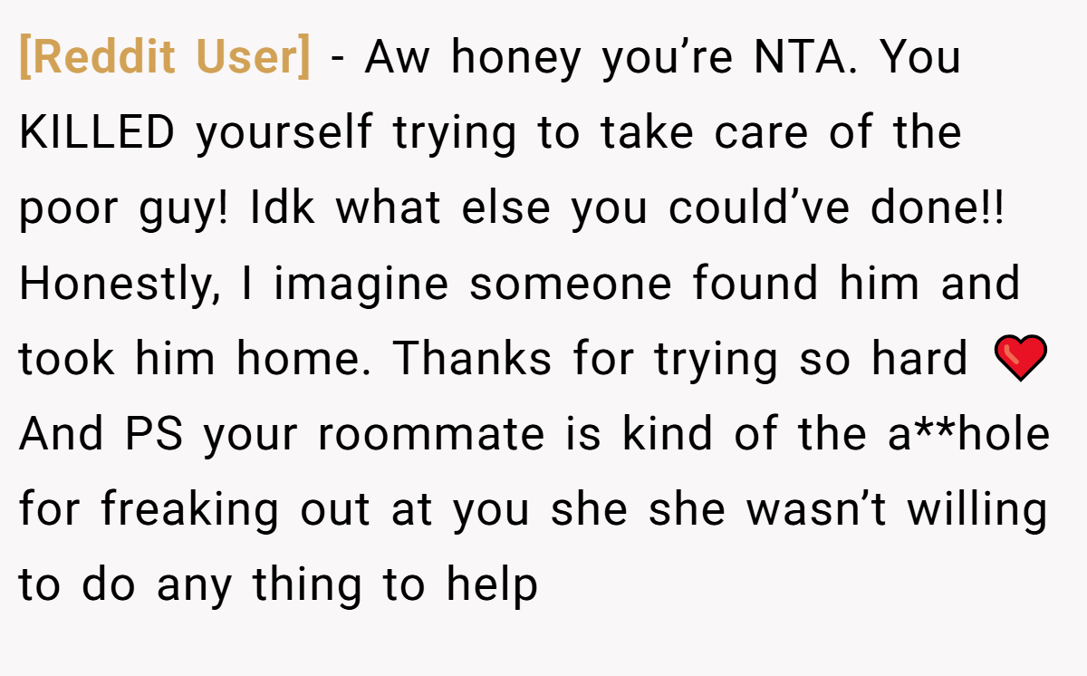 [Reddit User] − Aw honey you’re NTA. You KILLED yourself trying to take care of the poor guy! Idk what else you could’ve done!! Honestly, I imagine someone found him and took him home. Thanks for trying so hard ❤️ And PS your roommate is kind of the a**hole for freaking out at you she she wasn’t willing to do any thing to help
