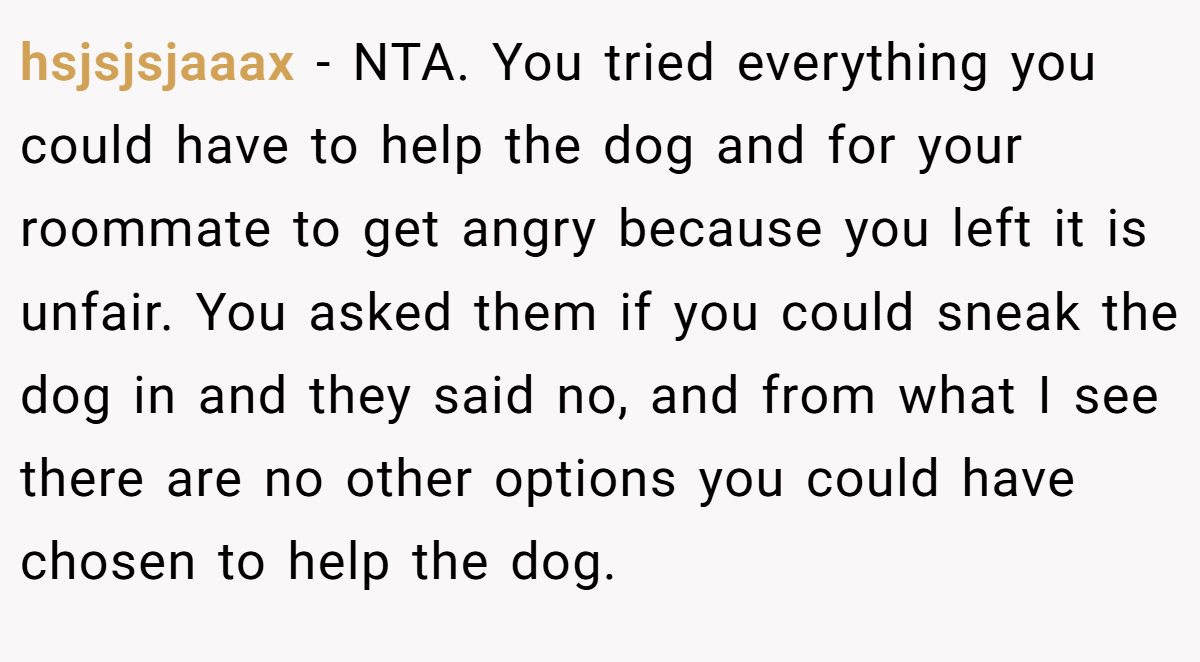 hsjsjsjaaax − NTA. You tried everything you could have to help the dog and for your roommate to get angry because you left it is unfair. You asked them if you could sneak the dog in and they said no, and from what I see there are no other options you could have chosen to help the dog.