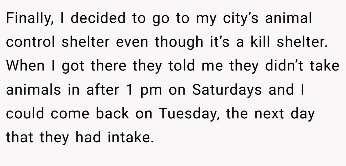 Finally, I decided to go to my city’s animal control shelter even though it’s a kill shelter. When I got there they told me they didn’t take animals in after 1 pm on Saturdays and I could come back on Tuesday, the next day that they had intake.