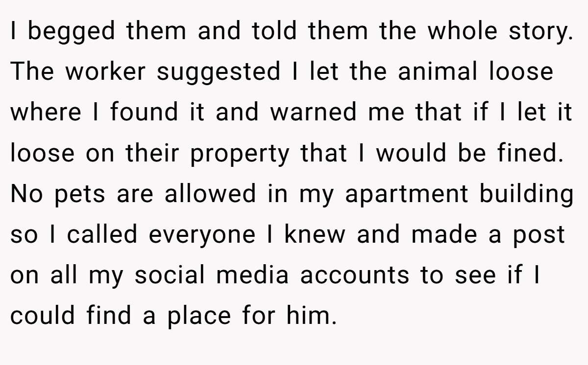 I begged them and told them the whole story. The worker suggested I let the animal loose where I found it and warned me that if I let it loose on their property that I would be fined. No pets are allowed in my apartment building so I called everyone I knew and made a post on all my social media accounts to see if I could find a place for him.