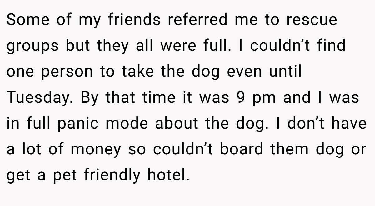 Some of my friends referred me to rescue groups but they all were full. I couldn’t find one person to take the dog even until Tuesday. By that time it was 9 pm and I was in full panic mode about the dog. I don’t have a lot of money so couldn’t board them dog or get a pet friendly hotel.