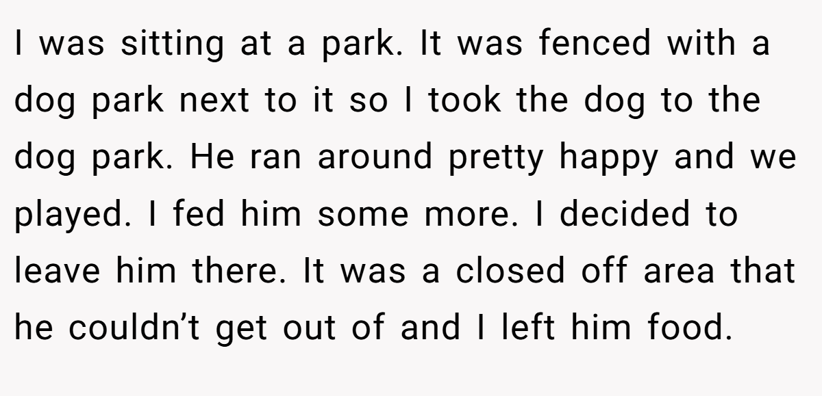 I was sitting at a park. It was fenced with a dog park next to it so I took the dog to the dog park. He ran around pretty happy and we played. I fed him some more. I decided to leave him there. It was a closed off area that he couldn’t get out of and I left him food.