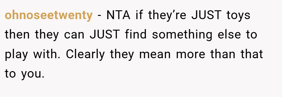 ohnoseetwenty − NTA if they’re JUST toys then they can JUST find something else to play with. Clearly they mean more than that to you.