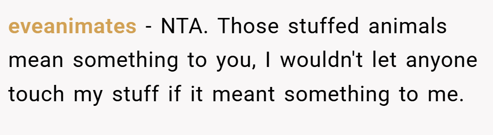 eveanimates − NTA. Those stuffed animals mean something to you, I wouldn't let anyone touch my stuff if it meant something to me.